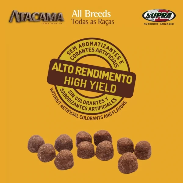Atacama All Breeds – Cães Todas as Raças