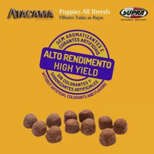 Atacama Puppies All Breeds – Cães Filhotes Todas as Raças